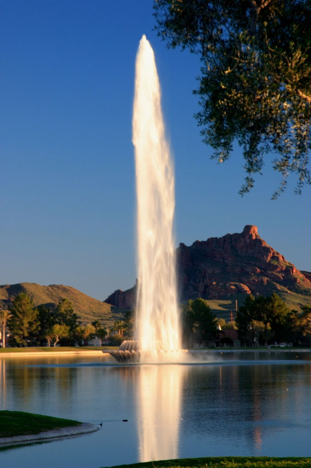 Fountain Hills Property Management
